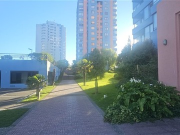 Imagen 7