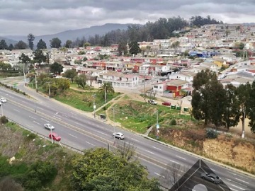 Imagen 13