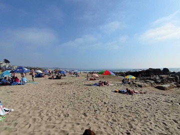 Venta / Departamento / Viña del Mar