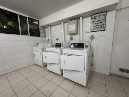 Imagen 13