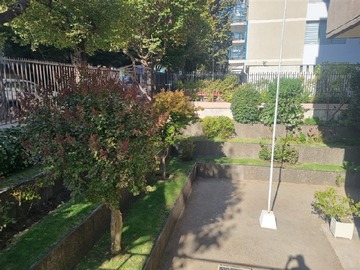 Imagen 22