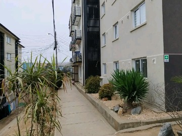 Venta / Departamento / Viña del Mar
