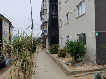 Imagen 6