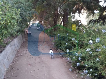 Imagen 5