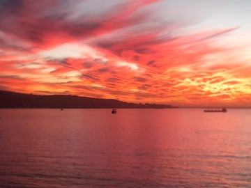 Venta / Departamento / Viña del Mar