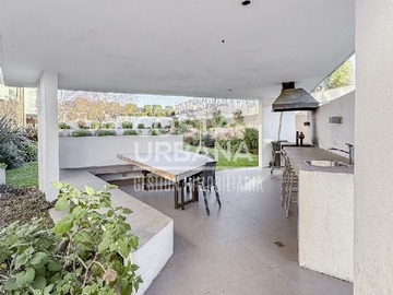 Imagen 28