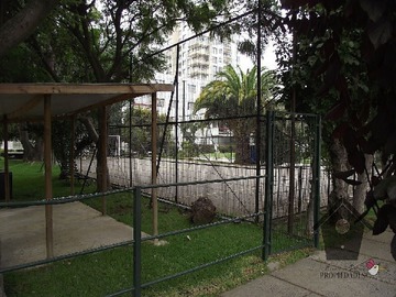 Imagen 23