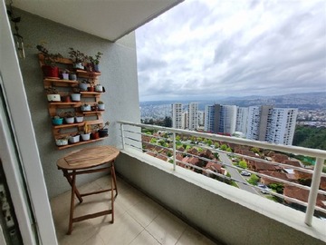 Imagen 11