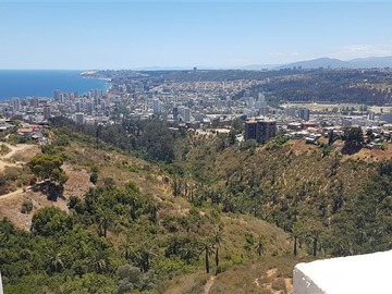 Venta / Departamento / Viña del Mar