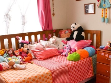 Imagen 5