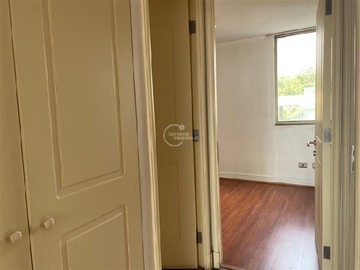 Imagen 15