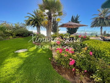 Imagen 31