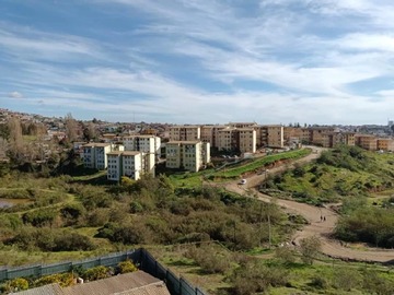 Imagen 19
