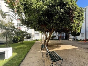Venta / Departamento / Viña del Mar
