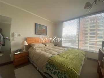 Imagen 11