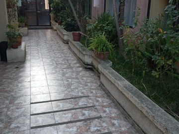 Imagen 11