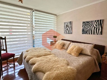 Imagen 7