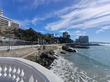 Venta / Departamento / Viña del Mar