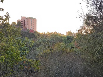 Venta / Departamento / Viña del Mar