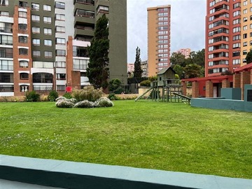 Imagen 20