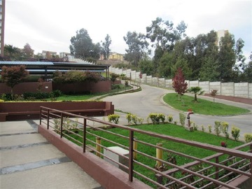 Imagen 9
