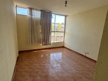 Imagen 5