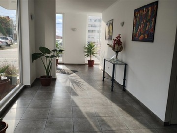 Venta / Departamento / Viña del Mar