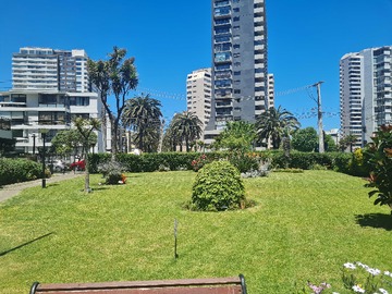 Imagen 13