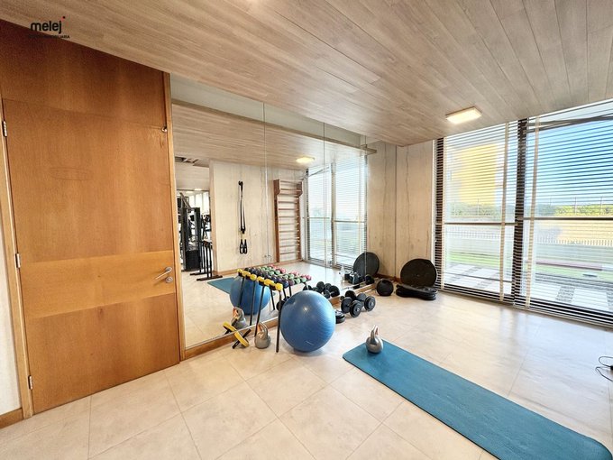Gimnasio
