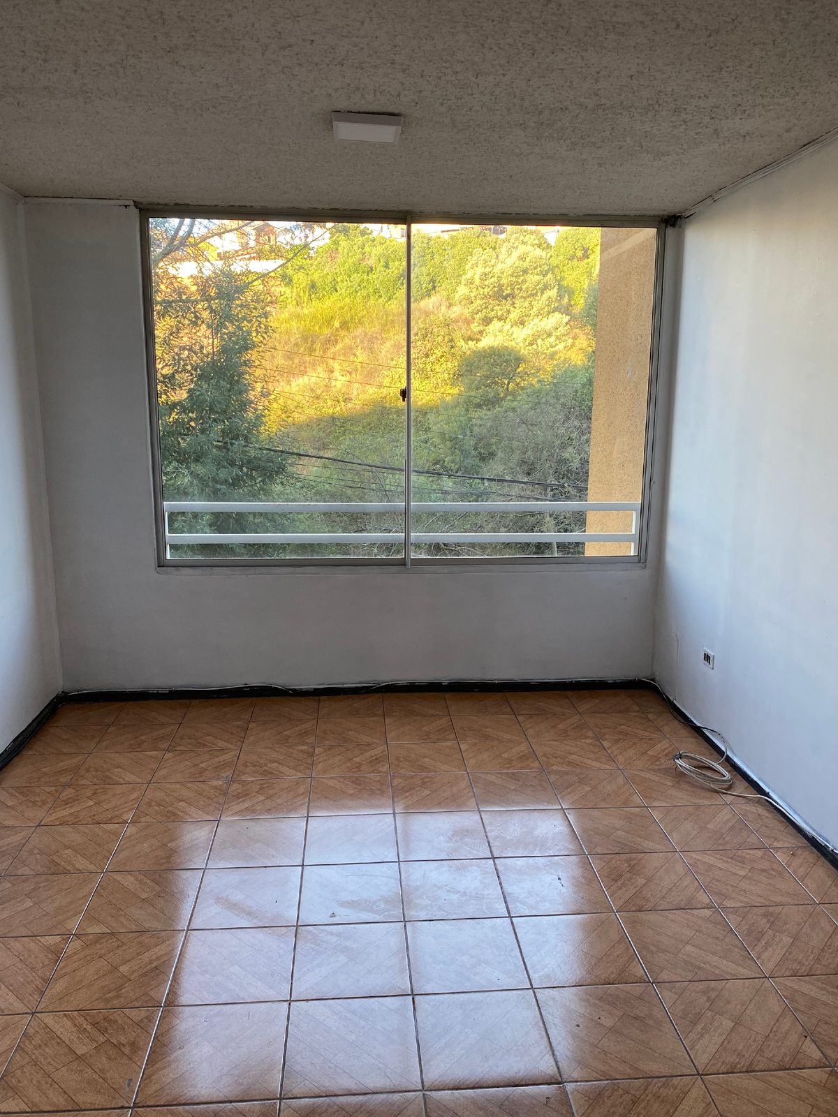 Living-Comedor