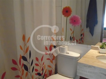 Imagen 10