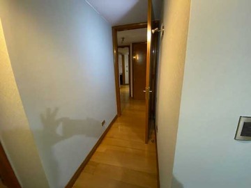 Imagen 14