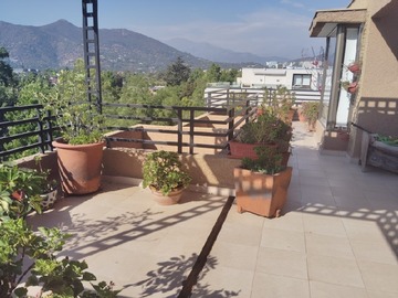 Imagen 6