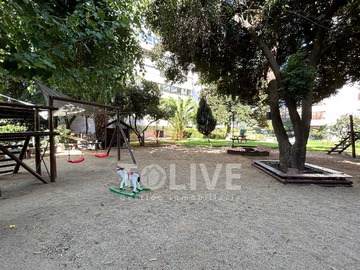 Imagen 22