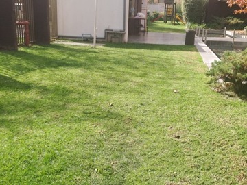 Imagen 6