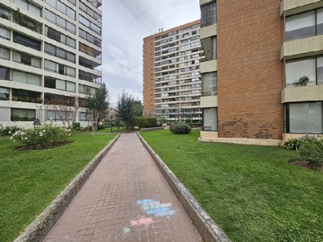 Imagen 22