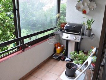 Imagen 7