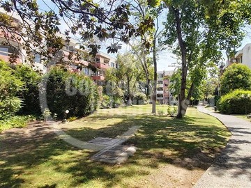 Imagen 19