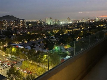Imagen 11