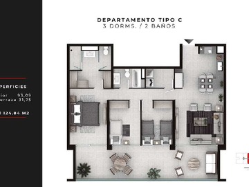Imagen 11