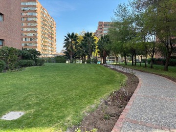Imagen 15