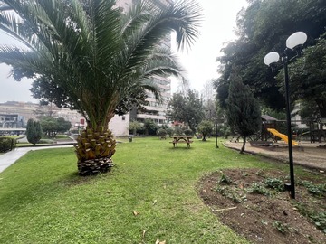 Imagen 22