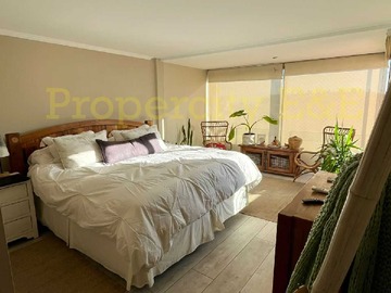 Imagen 11