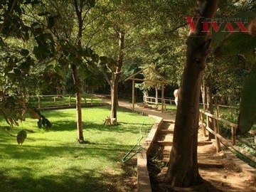 Imagen 6