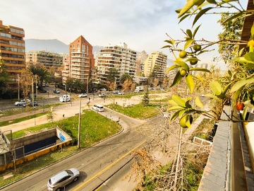 Imagen 6
