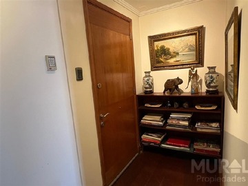 Imagen 7