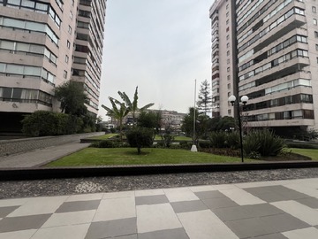 Imagen 20