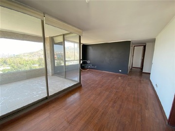 Imagen 6