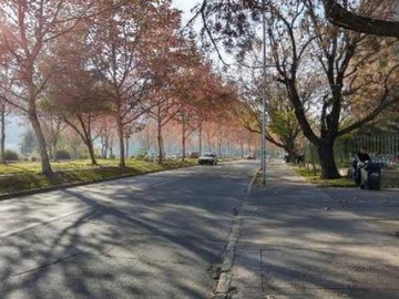 Imagen 31