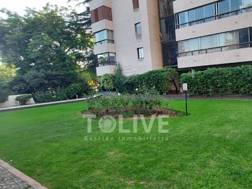 Imagen 21